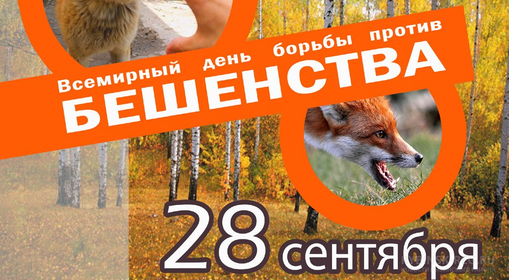 28 сентября Всемирный день борьбы против бешенства.