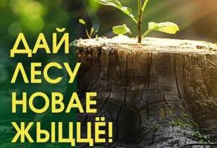 Витебский ЦСМС присоединился к республиканской акции «Дай лесу новае жыццё»