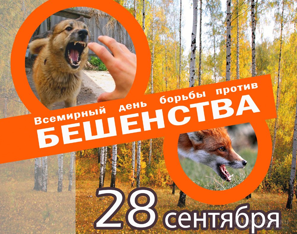 28 сентября - Всемирный день борьбы против бешенства